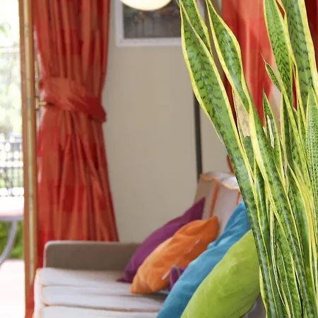 Tirrenia Hotel 4*